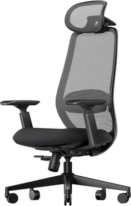 ProtoArc EC200 Silla de Oficina Ergonómica con Asiento Deslizante, Negro | Silla Escritorio Soporte Lumbar Ajustable en Altura y Profundidad, Reposacabezas 3D, Espuma 55D, Giratoria, Malla, Hogar